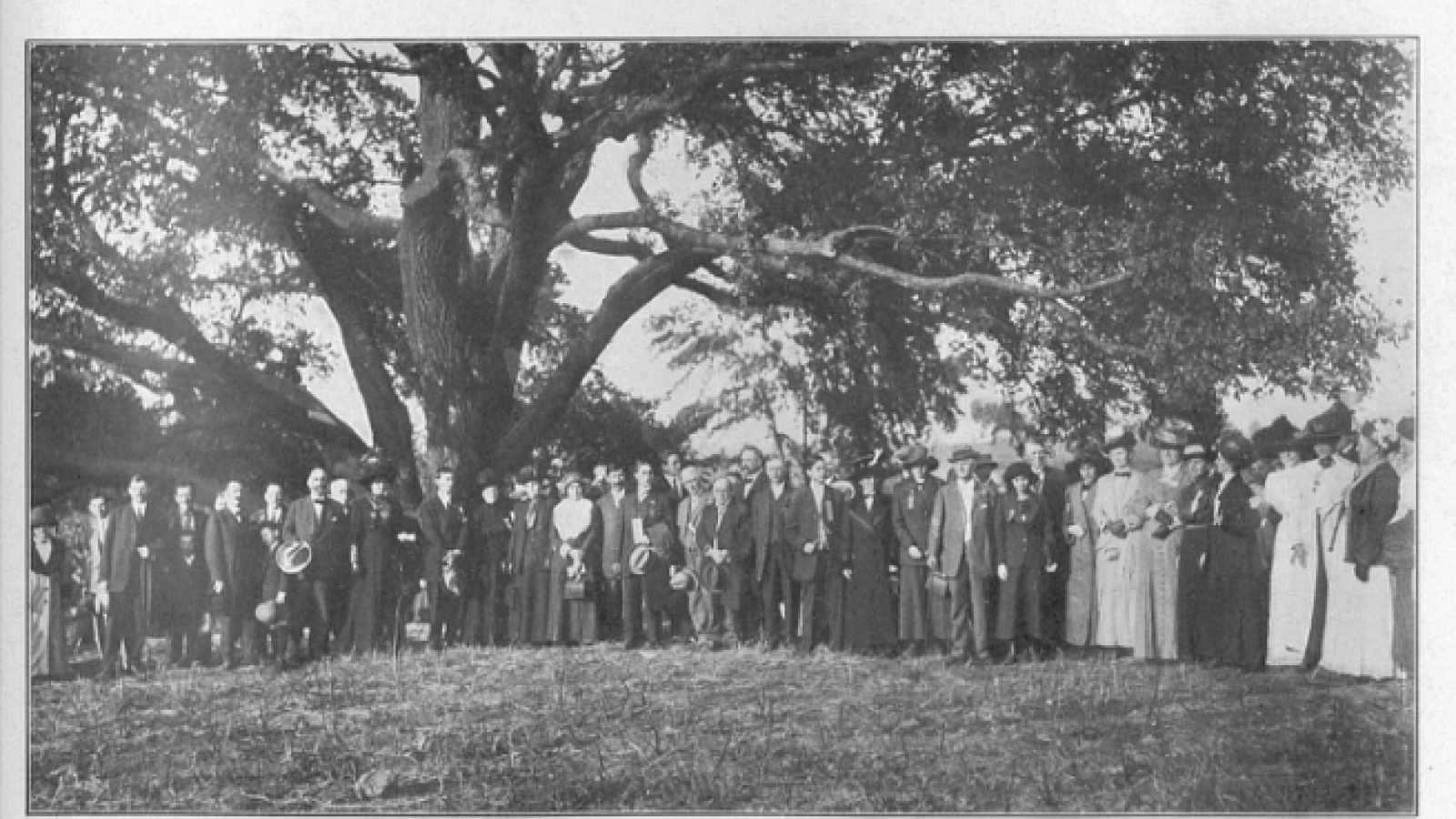 Society of American Indians Conference, Image 3